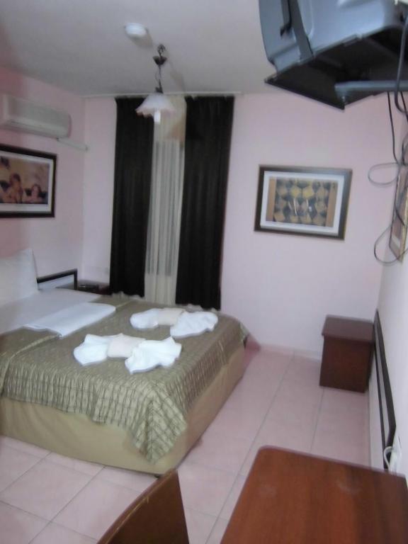 Otel Cinar