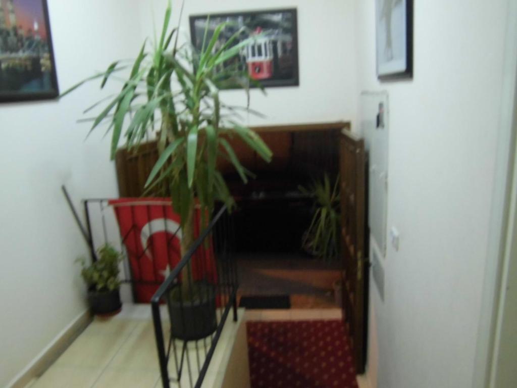 Cinar Otel Antalya